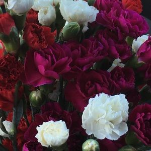 Meet your Posher, Jackie